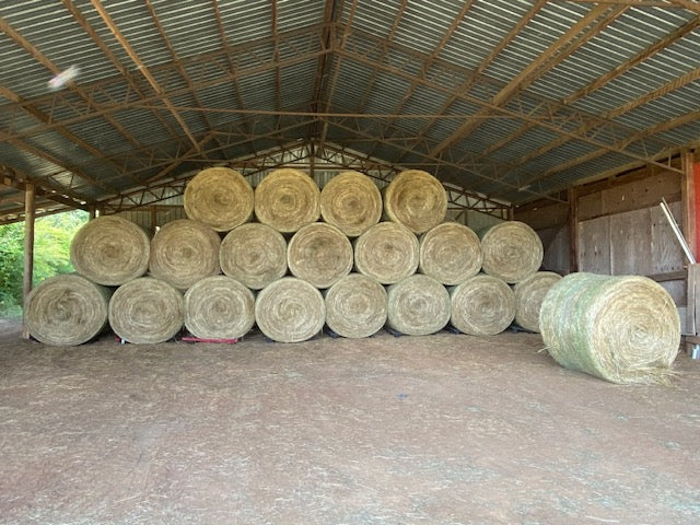 65-inch Round Hay Bales